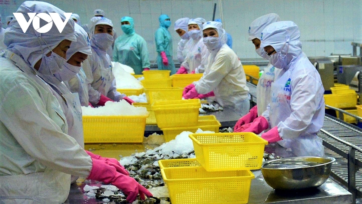 Brazil asked to remove barriers placed on Vietnamese seafood exports